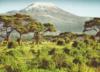 Килиманджаро: оригинал