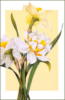 Схема вышивки &laquo;Buketik narcysov&raquo;