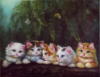 Схема вышивки «Серия "Кошки"»