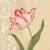 Схема вышивки «Tulip on Tan»