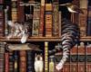 Схема вышивки «Кот в библиотеке»