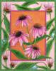 Схема вышивки «Framed Flowers - Echinacea»