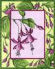 Схема вышивки «Framed Flowers - Fuchsia»