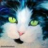 Схема вышивки «Кот с зелеными глазами»