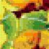 Framed Flowers - Nasturtium: предпросмотр