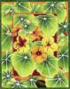 Схема вышивки «Framed Flowers - Nasturtium»