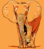 Схема вышивки «Оранжевый слон»