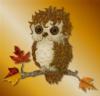 Sweet Owl Baby: оригинал