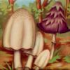 Схема вышивки «Mushrooms and Flowers»