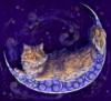 Схема вышивки «Лунные коты»