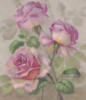 Схема вышивки «Серия " Розы"»