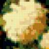 Букет хризантем: предпросмотр