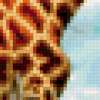 Жирафы: предпросмотр