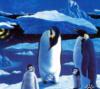 Схема вышивки «Пингвины на льдине»