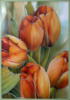 Схема вышивки &laquo;Tiulpany&raquo;