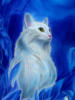 Схема вышивки «Белая кошка»