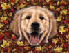 Схема вышивки «Осенний пёс»