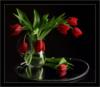 Красные тюльпаны на чёрном: оригинал
