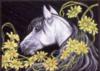 Схема вышивки «Лошадка и цветы на чёрном»