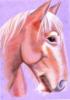 Схема вышивки «Розовый конь»
