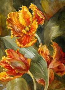 , buket, svetq, tulpan