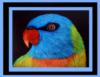 Parrot Portrait - Easy: оригинал