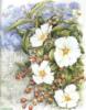 Схема вышивки &laquo;Cvety&raquo;