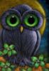Magic Owl: оригинал