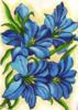 Голубые цветы: оригинал