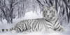Схема вышивки «Тигр в снегу»
