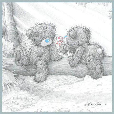 , мишки тедди