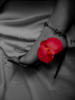 Красный цветок: оригинал