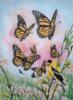 Схема вышивки &laquo;Babochki&raquo;