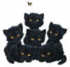 Схема вышивки «Шесть черных котят»