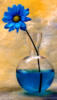 Схема вышивки «Синенький цветочек»