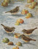Схема вышивки «Птицы и яблоки»