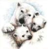 Схема вышивки «Белая медведица с медвежатами»