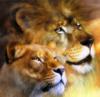 Схема вышивки «Лев и львица»