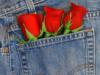 Схема вышивки «Розы в джинсах»