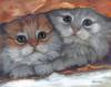 Sweet Kittens: оригинал