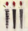 Схема вышивки «Мэрилин Робертсон Цветы»