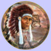 Схема вышивки «Native American»