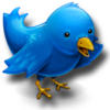 Схема вышивки «Twitter Bird»