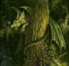 Лесной дракон: оригинал