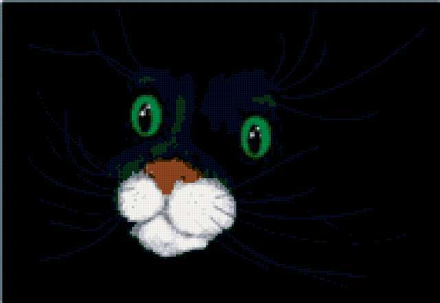 , кошки, коты, животные, глаза, картинки