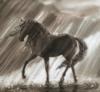 Схема вышивки «Лошадь под дождём»