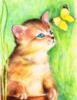 Схема вышивки «Котёнок и жёлтая бабочка»
