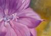 Схема вышивки «Flower Close Up»