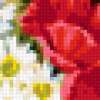  цветы: предпросмотр