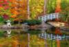 Осенний пейзаж с мостом: оригинал